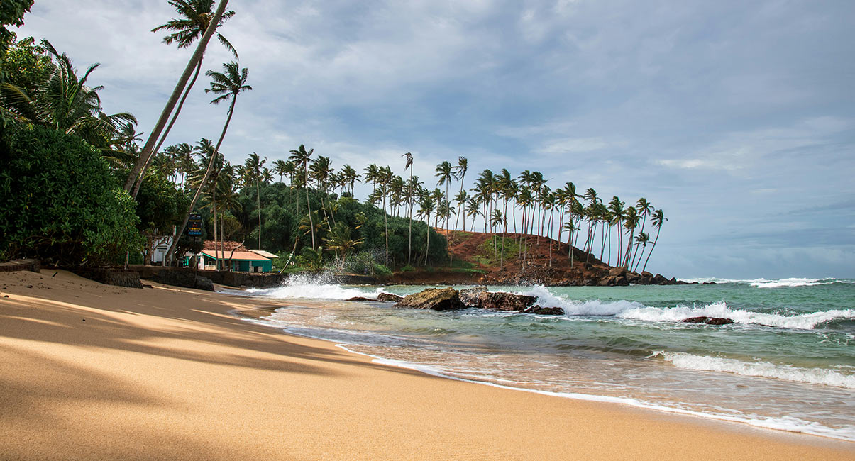 Mirissa Beach